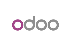 What makes Odoo ERP a good choice?